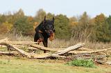 BEAUCERON 366